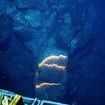 해저화산과 관련된 최신 연구 및 발견